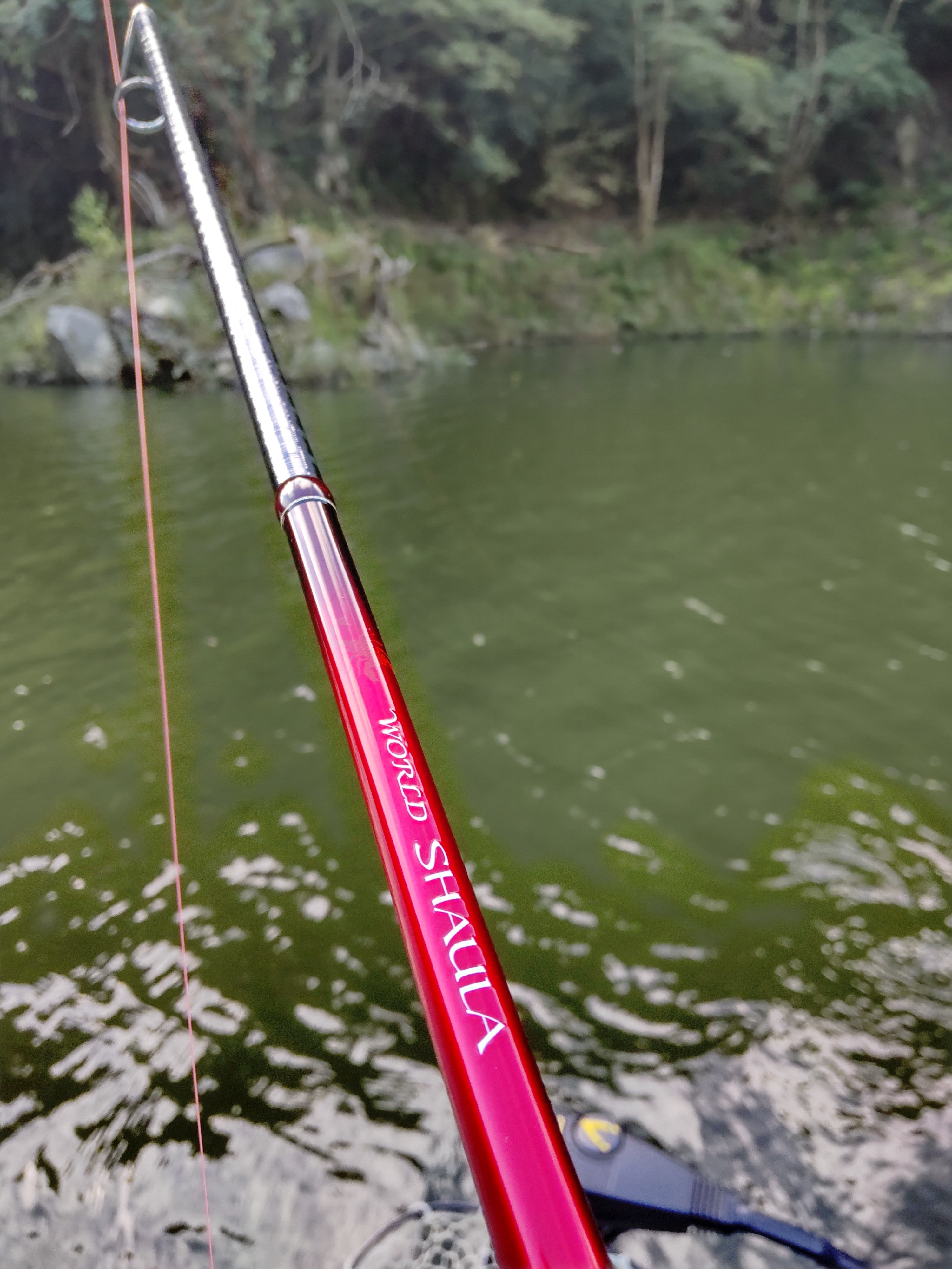 ワールドシャウラ 2701FF-2 | 海山越えて・・・