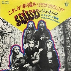 Genesis/I Know What I Like (In Your Wardrobe) | Sinn音楽館