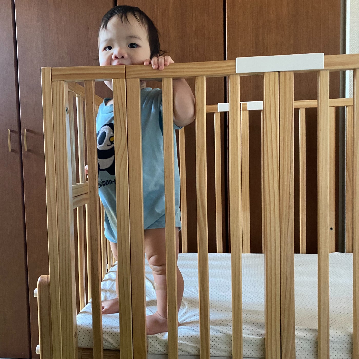 パタンⅡ折りたたみミニベビーベッド リアルレビュー〈前編