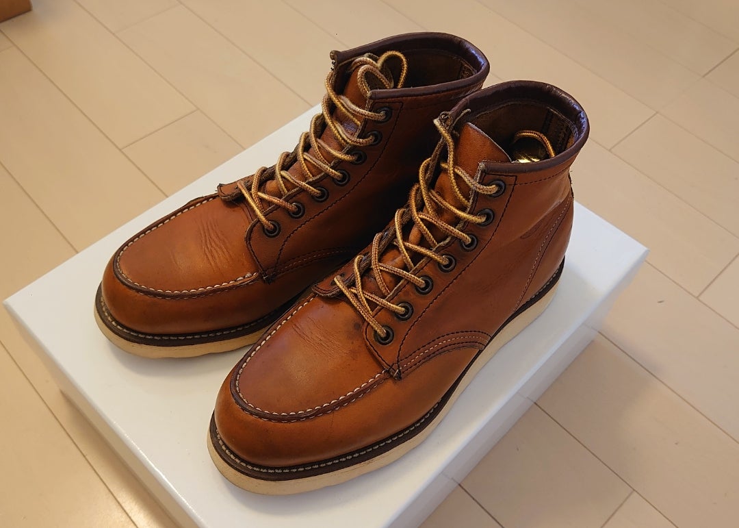 REDWING875 犬刻印 | MIURA-SHONAN FISHING DIARY