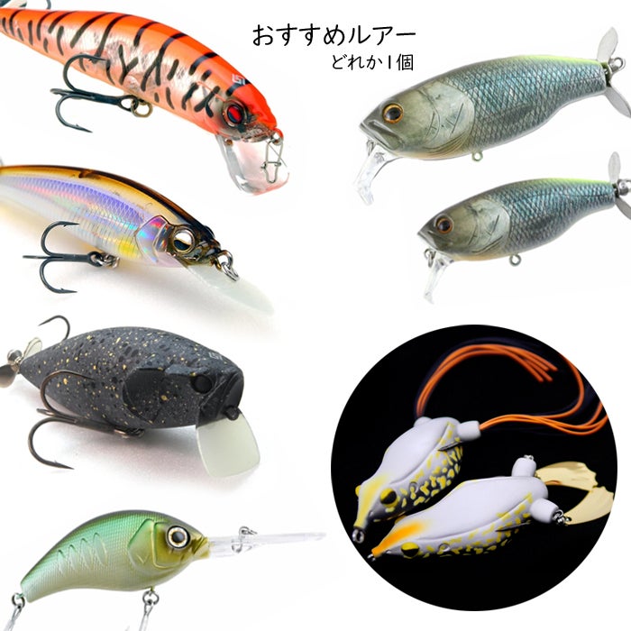 2022福袋②「DRT/タイニークラッシュ入り福袋」！ | BACKLASH STAFF BLOG