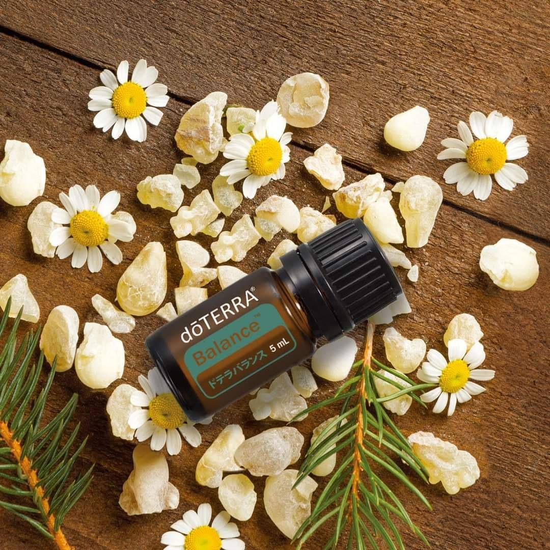 家族をケアするお手軽キット❤️『ファミリーエッセンシャルズキット