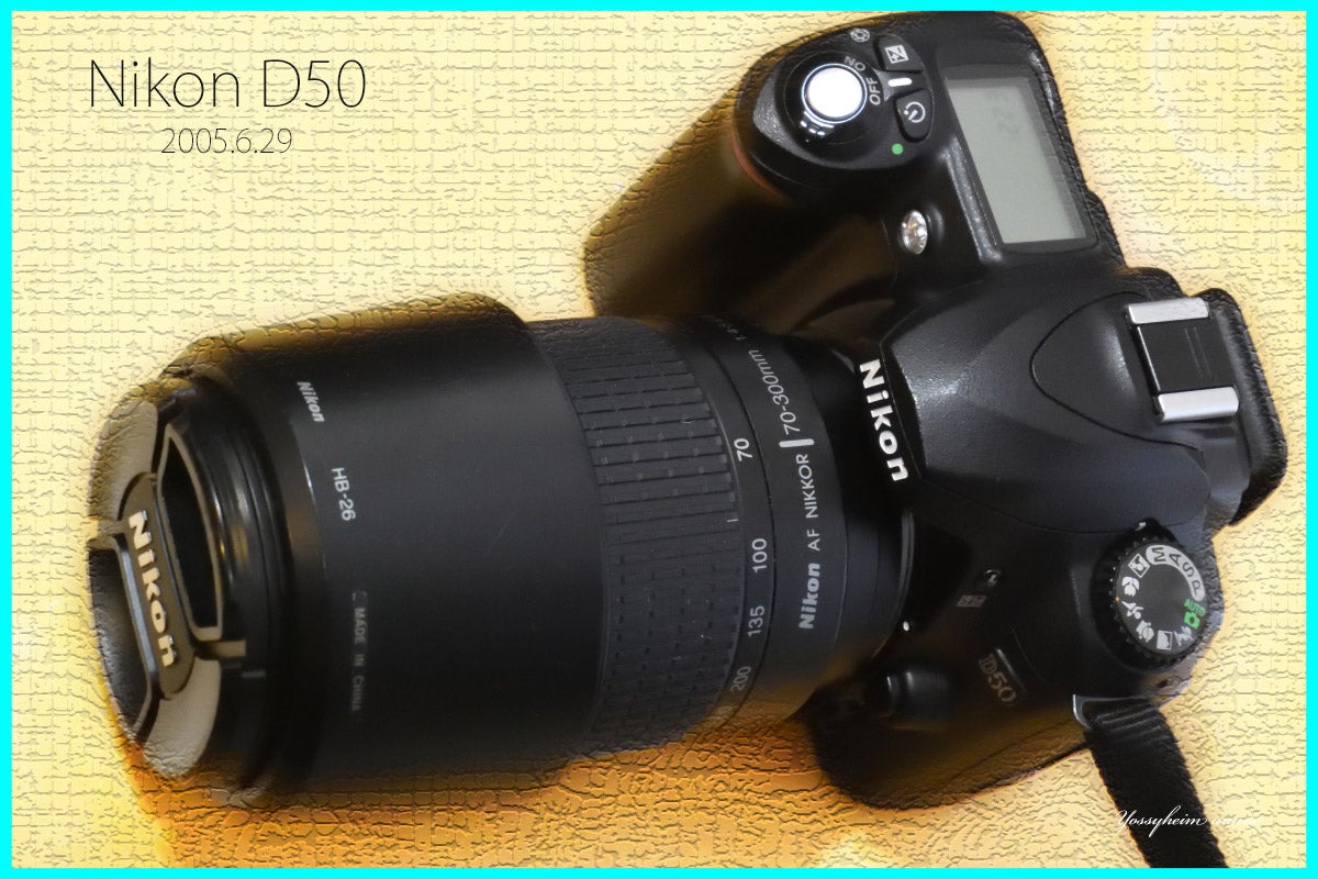 2005年に発売された610万画素のニコンD50(中古ジャンク)の画質を