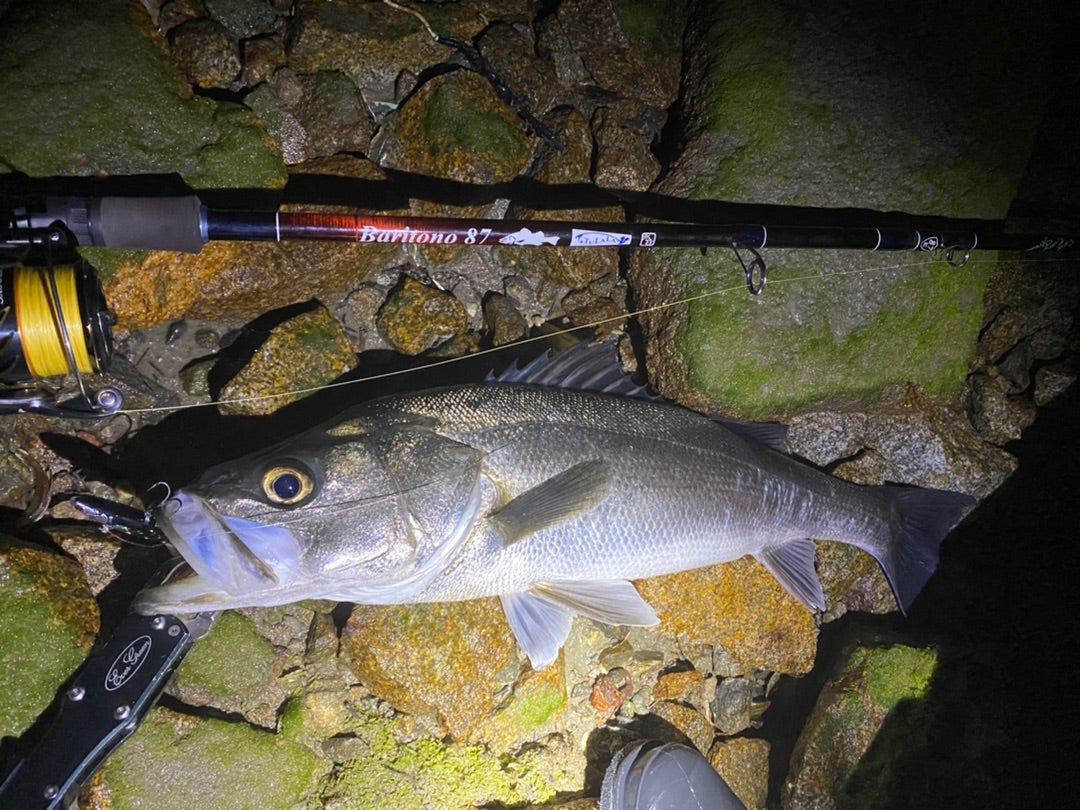 バリトーノ87テスト釣行 小型フック編 | BariCraft Blog