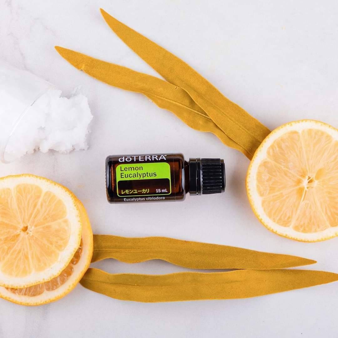 健やかでアクティブな毎日を応援❗️『レモンユーカリ』の使い方