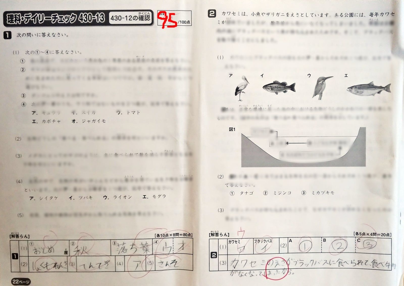 430-12～14 理科デイリーチェック まあまあ | 息子@2022中受終了 娘