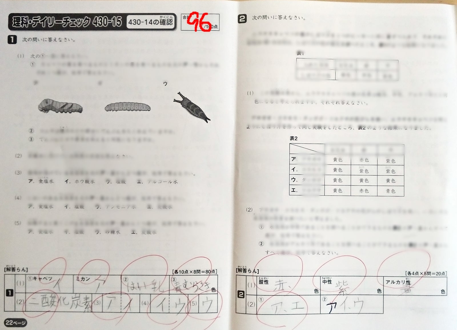 430-12～14 理科デイリーチェック まあまあ | 息子@2022中受終了 娘