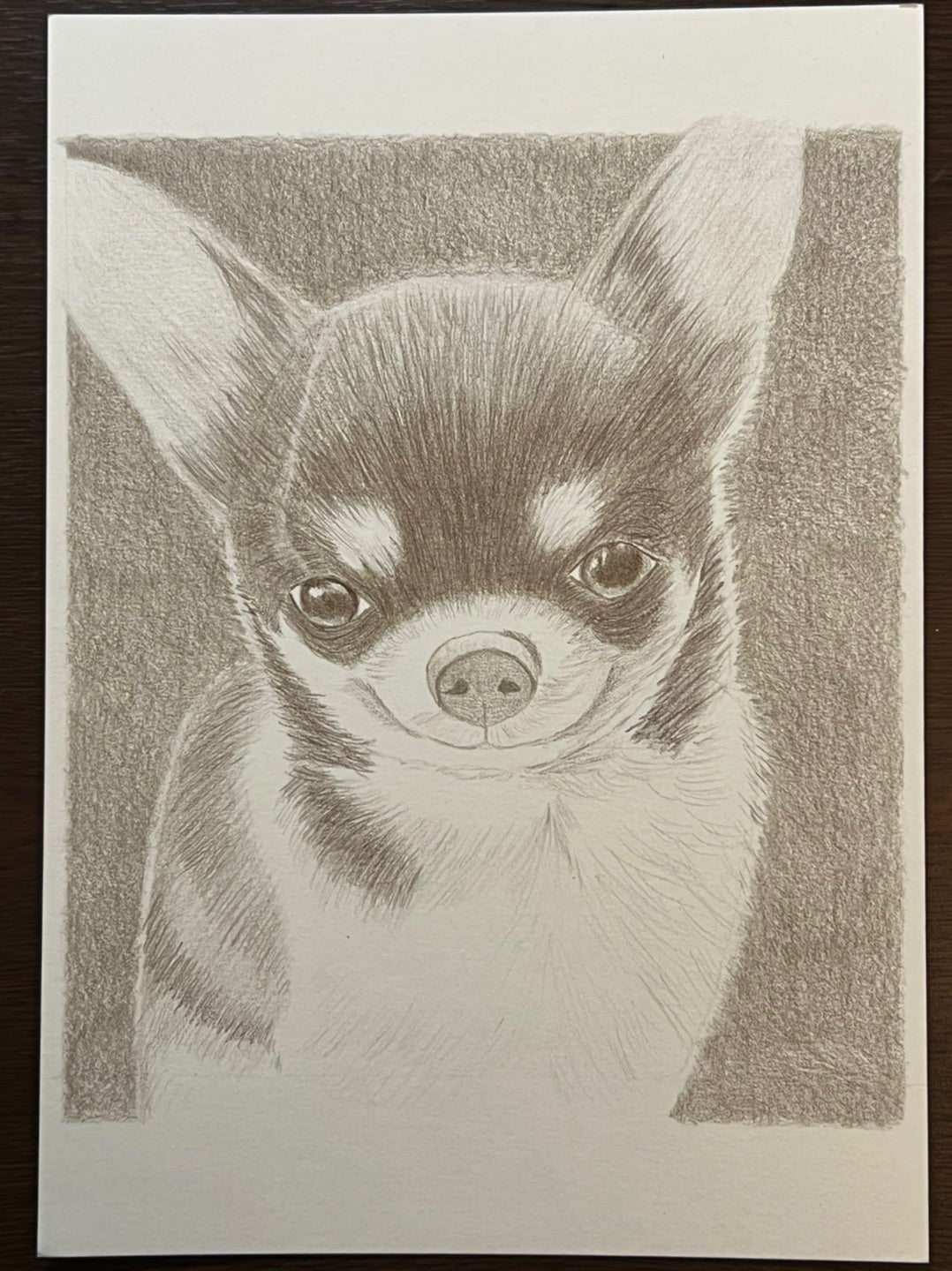 犬を描く | 色鉛筆画はじめました