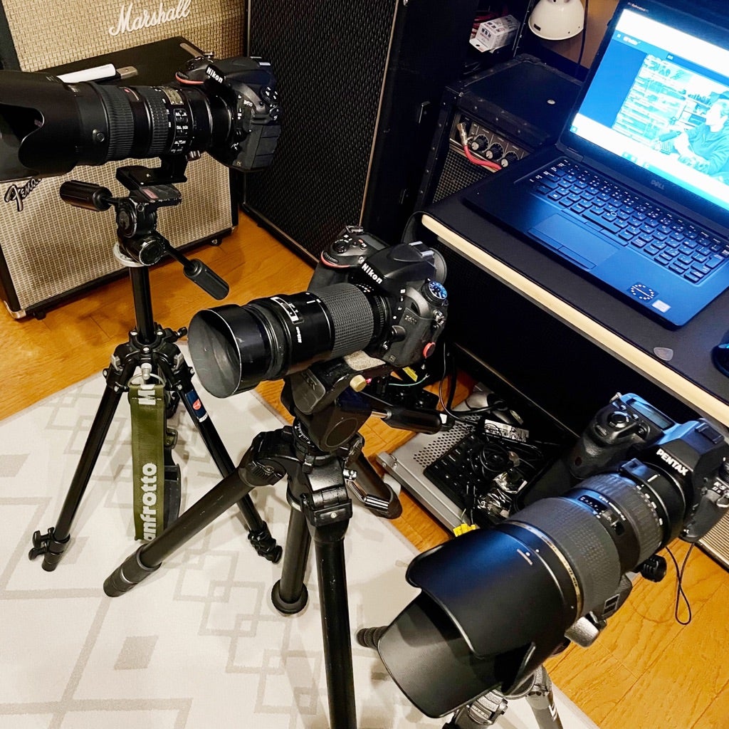 AF NIKKOR 70-210mm f4S | ほぼジャンクな機材でお送りする写真