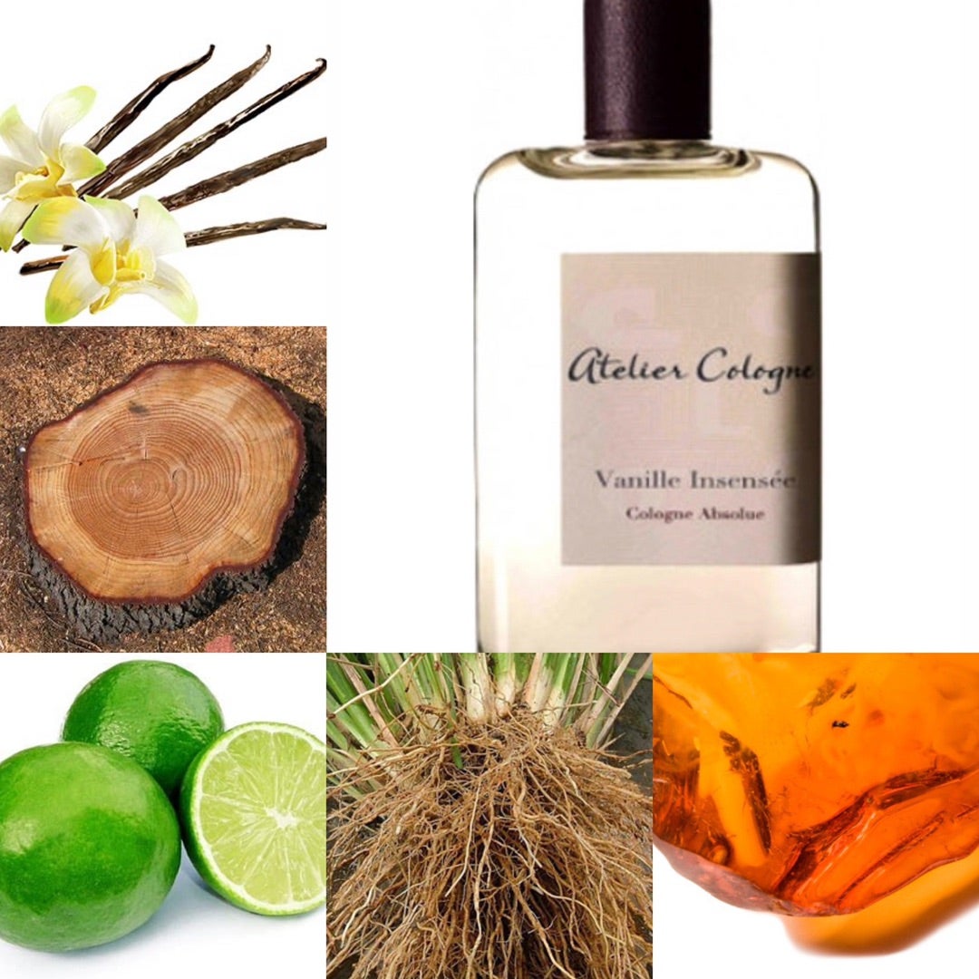 香水レビュー バニラアンサンセ アトリエコロン | 香水レビュー ブログ