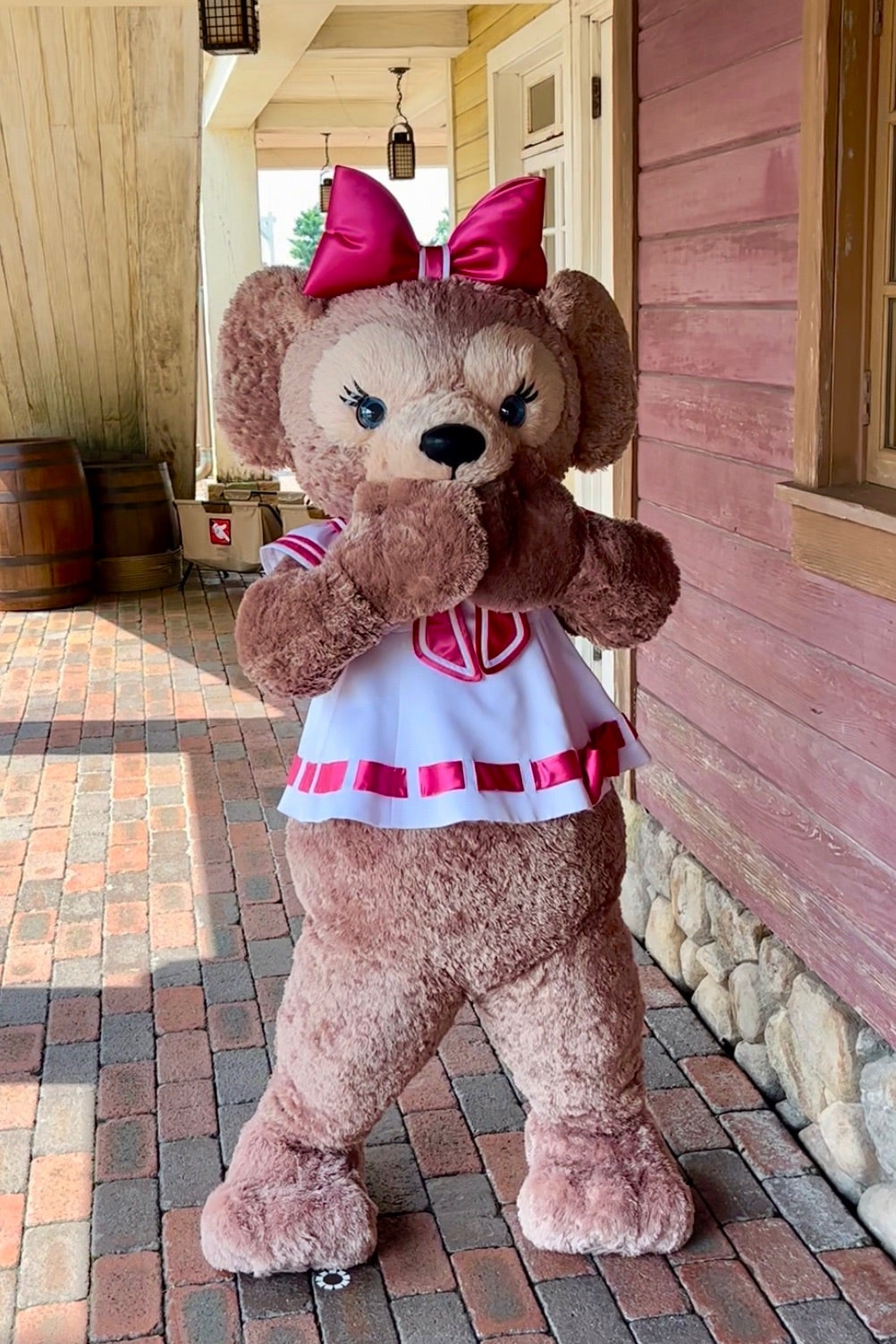 シェリーメイちゃんの涙のわけは？・・・ | ディズニー ダッフィー