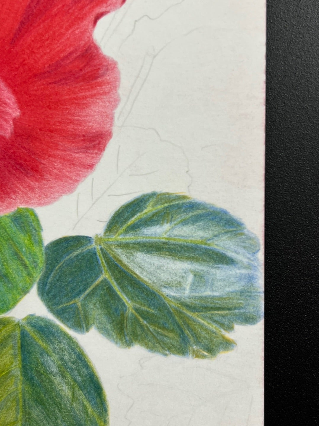 幸せの黄色いハイビスカス(色鉛筆画) 幸せの黄色いハイビスカス(色鉛筆