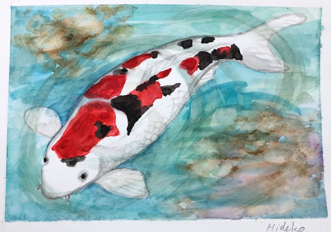 Hawaii. 水彩画 ハワイで人気 錦鯉 | HAWAIIでエンジョイ