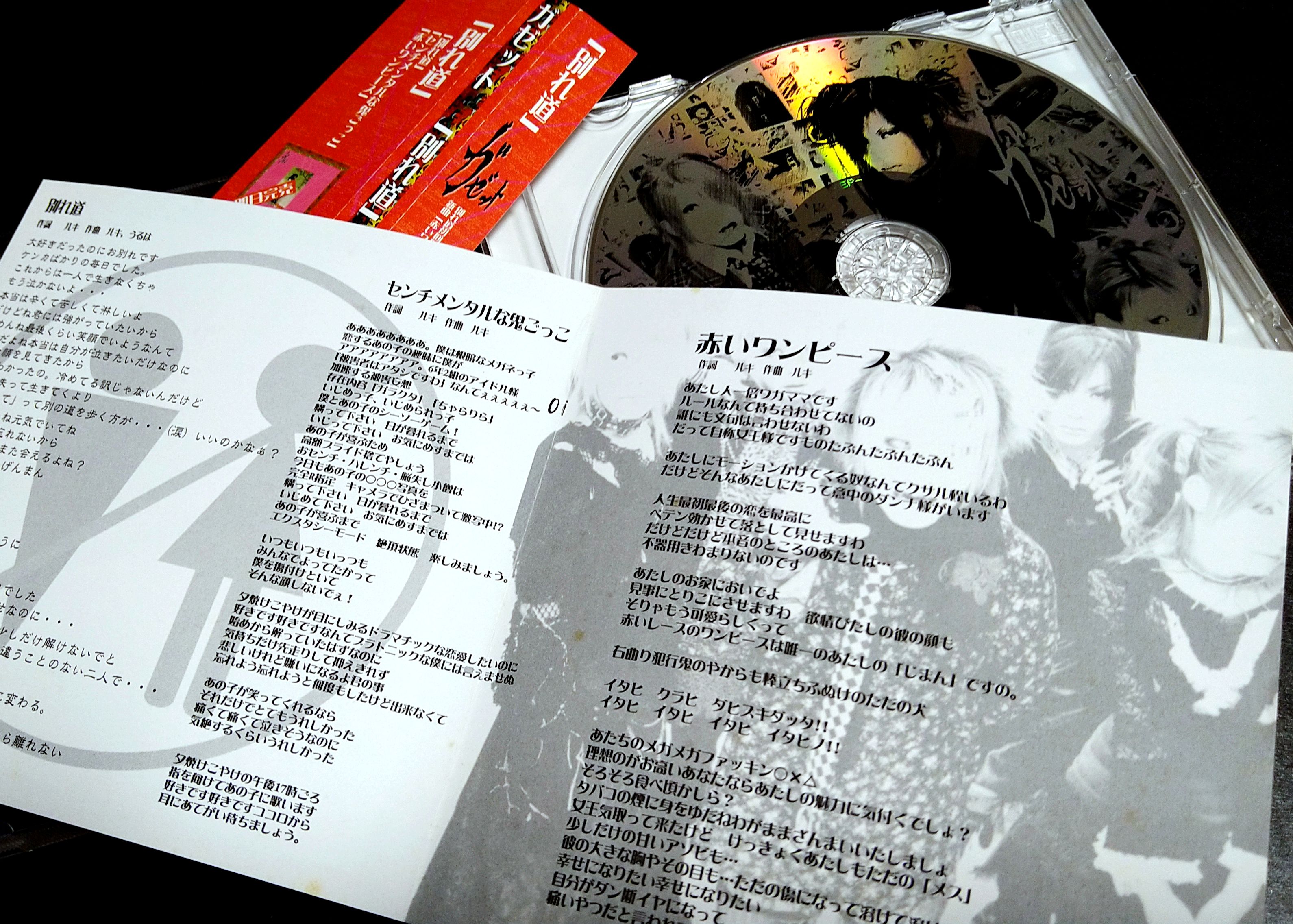 ガゼット【2002】別れ道 2ndプレス the GazettE | うつぼ の 不可逆的