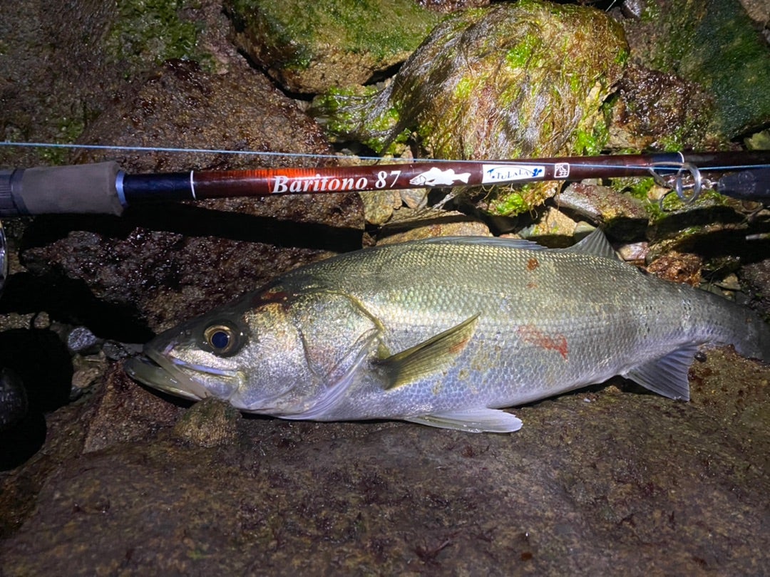 バリトーノ87の適正リールについて | BariCraft Blog