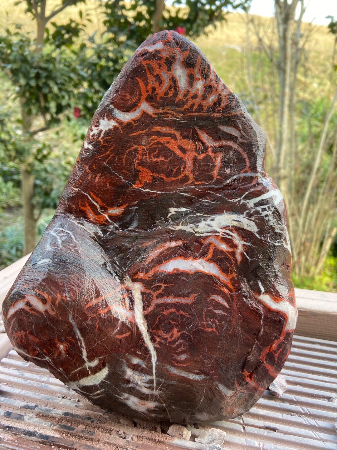 根尾雷光石の形成 ① | 七姫