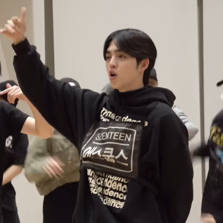 SEVENTEEN エスクプスが愛用しているパーカーが可愛い件。 | 防弾少年