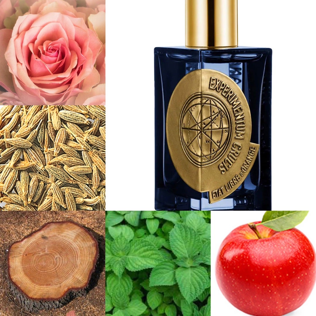 香水レビュー エクスペリメンタムクルーシス エタリーブルドオランジェ