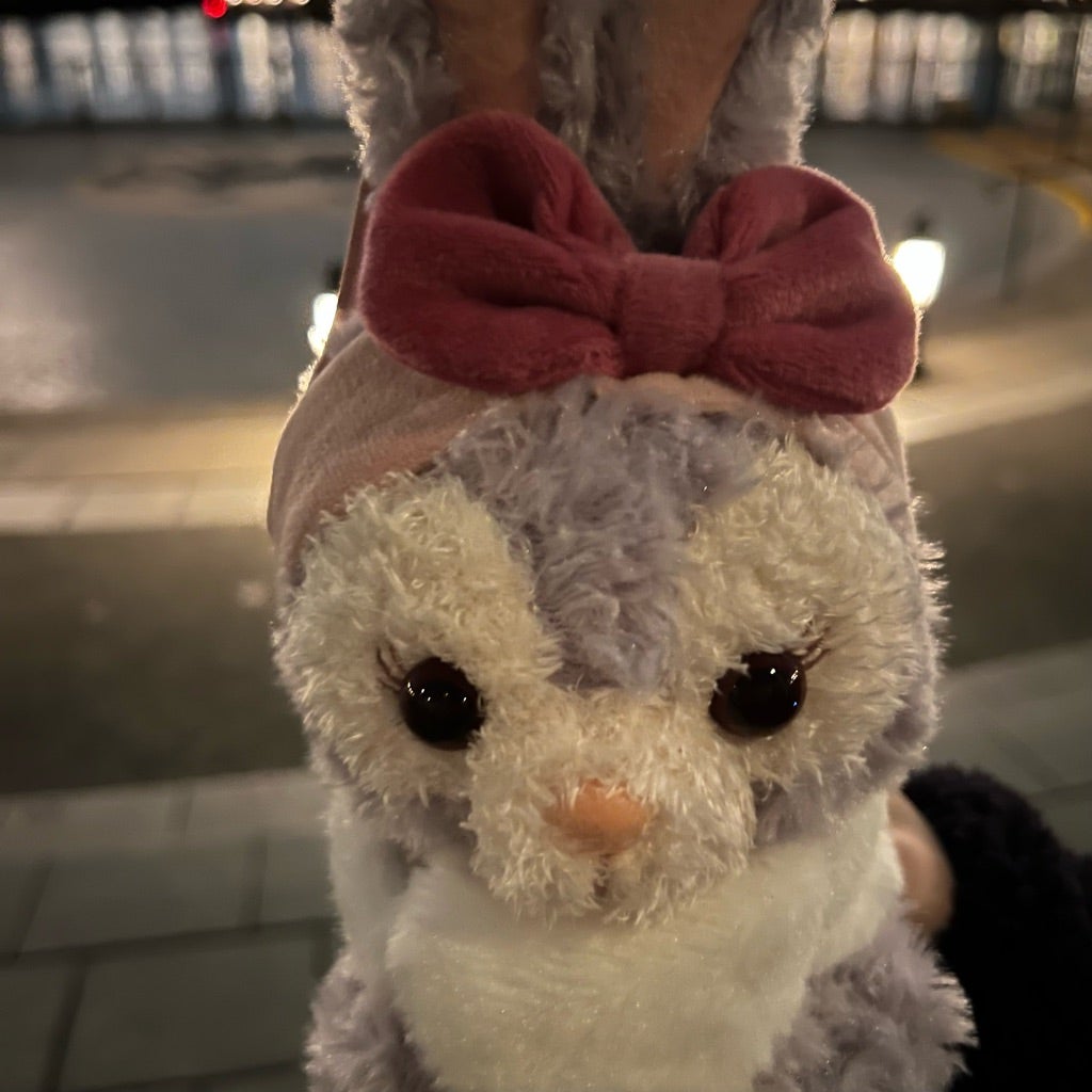 発売前からずっと気になっていたステラルーの新作ショルダーバッグ