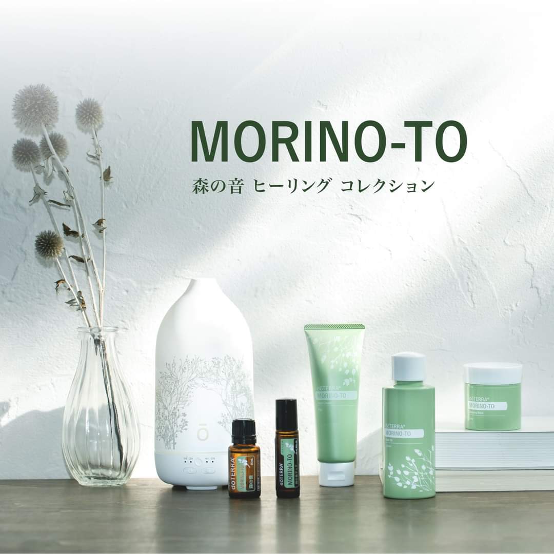 数量限定❗️日本限定販売❗️『森の音 ヒーリング コレクション