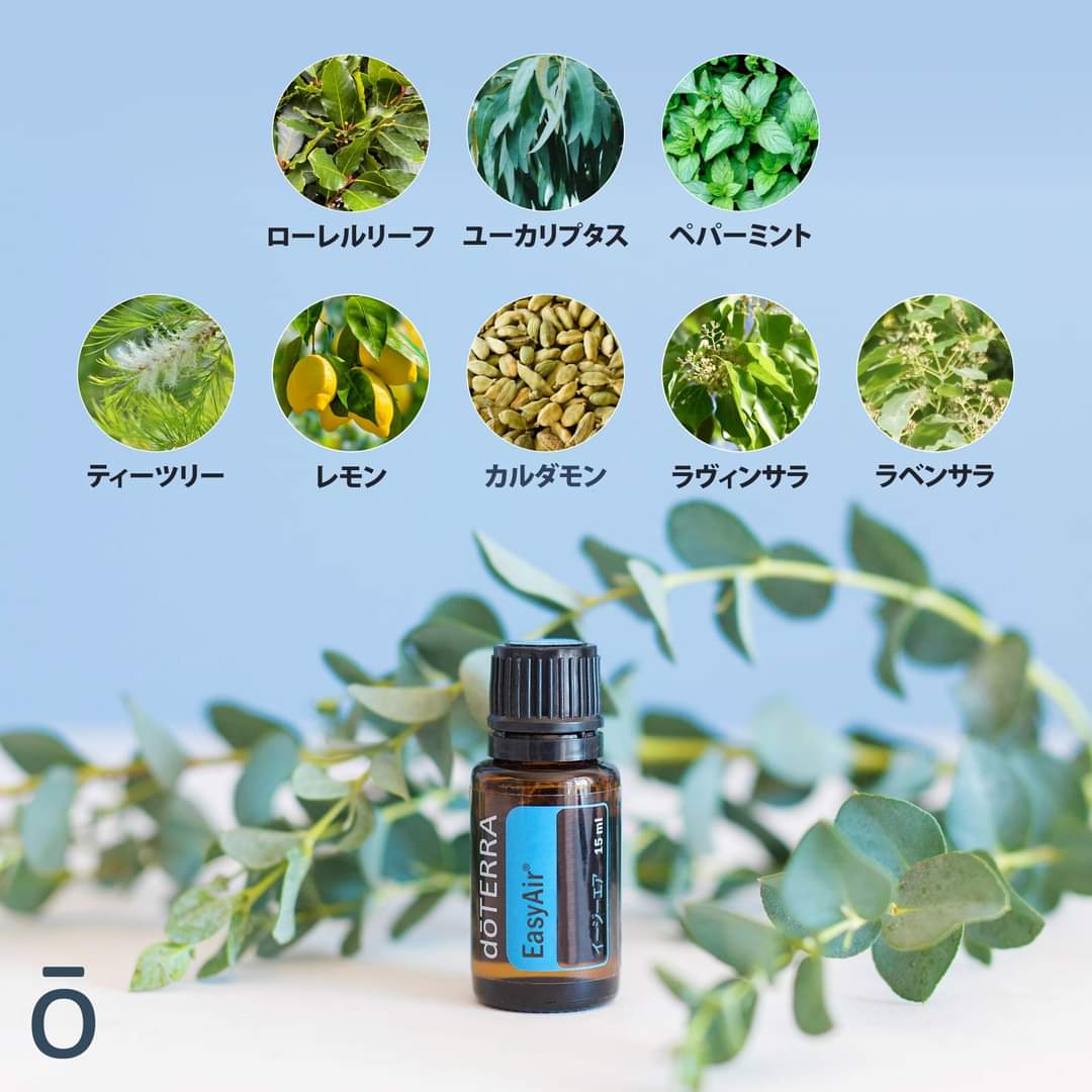 24時間お値下げ‼︎【新品】 doTERRA オンガード/イージーエアー