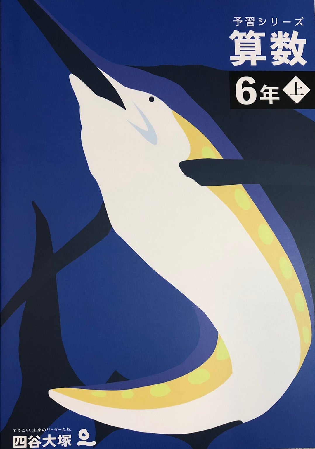 2021年 6年 四谷大塚 有名校対策/実力/実戦（有名）/漢字/2021年使用