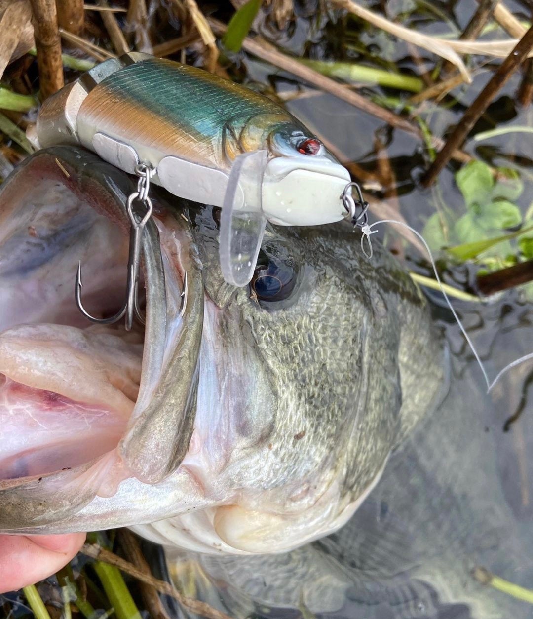 MAG Dirty !!! | BACKLASH STAFF BLOG