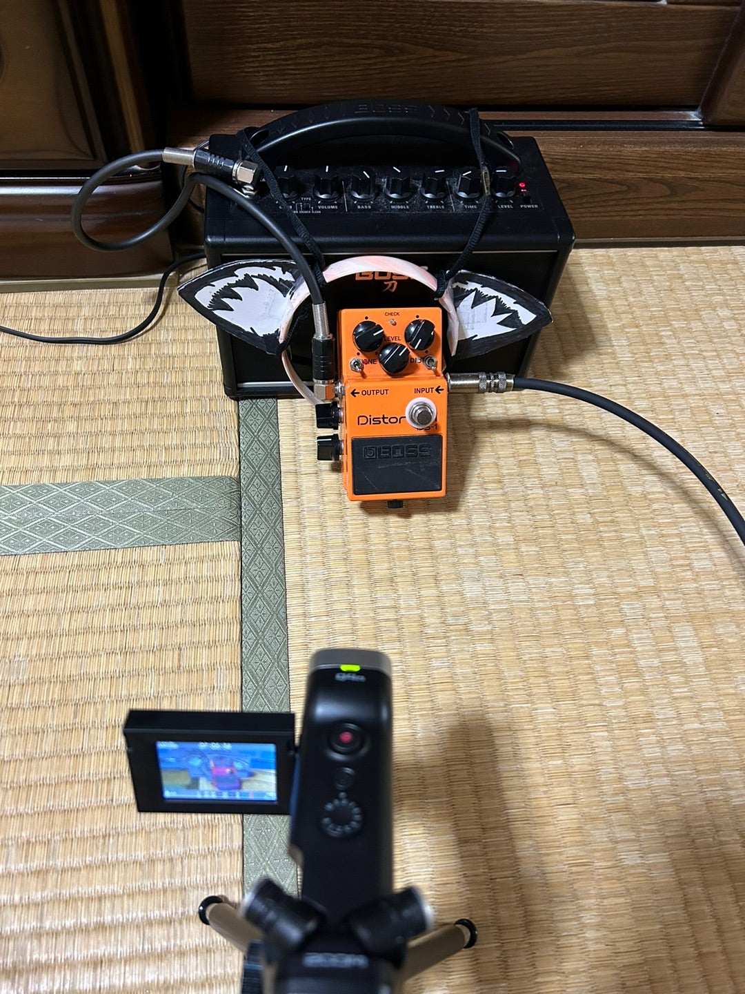 BOSS / DS-1 Twin Drive Mod（ボス ディストーション モディファイ