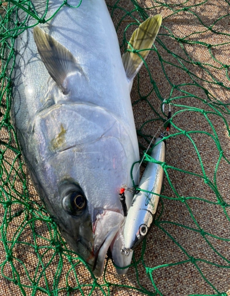 BFのNBタイプ 製品化 発売 | カーペンタールアー、ロッド研究室