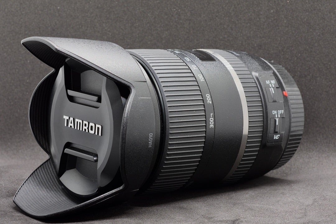 Tamron 28-300mm f3.5-6.3 Di VC PZD(Model A010) | ほぼジャンクな