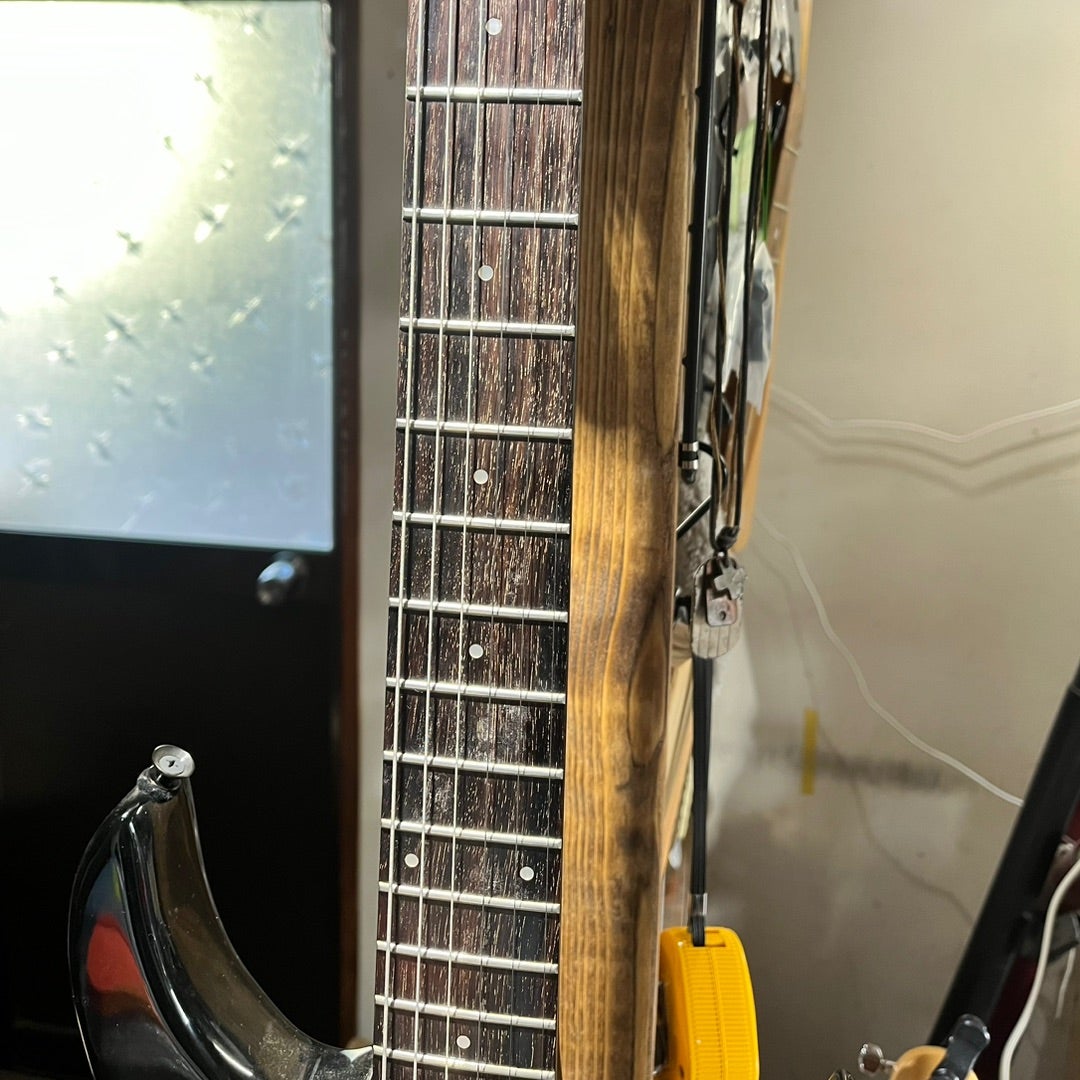 続無駄遣いは止まらない。 Black Dog by Aria Pro II | ギターいじりは