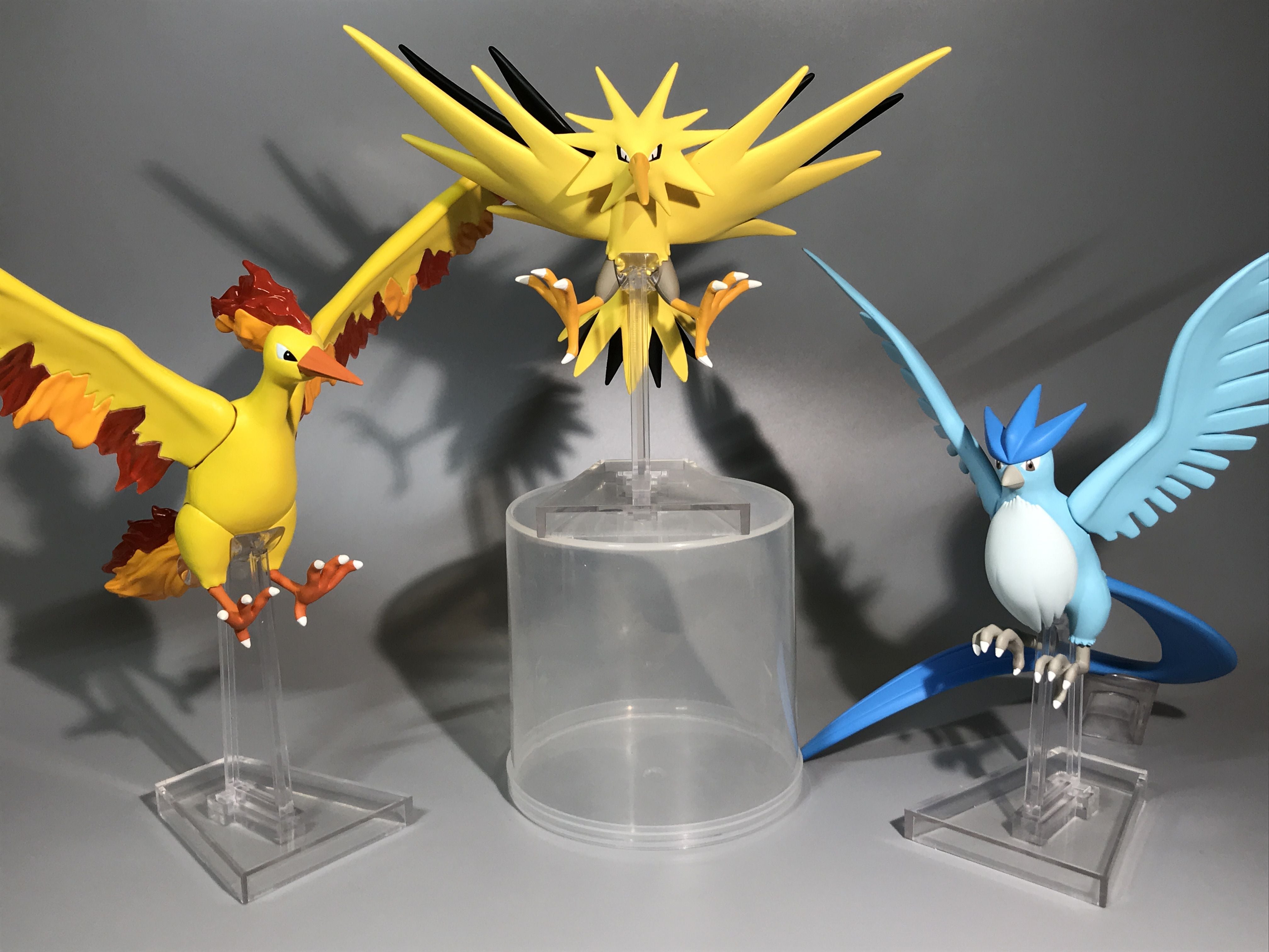 ポケモンスケールワールド カントー地方 フリーザー＆サンダー