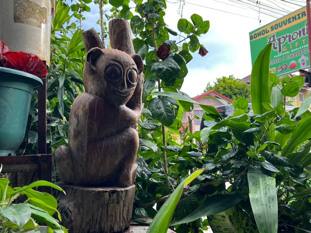 フィリピンで、意味のある爆買い！！ | 近藤あやオフィシャルブログ