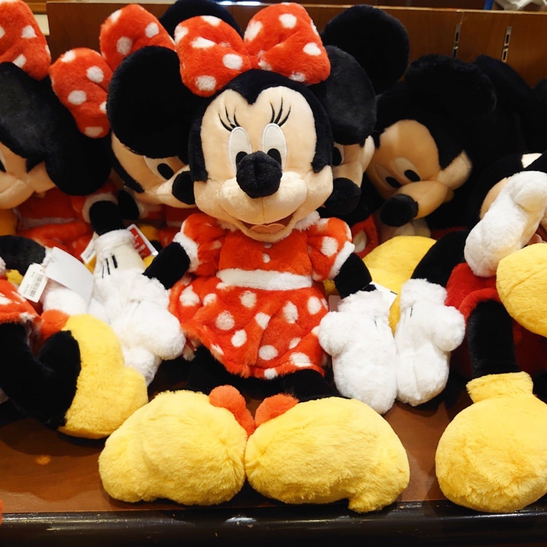 ふわふわな肌触り♡ 東京ディズニーリゾート ミッキー・ミニー