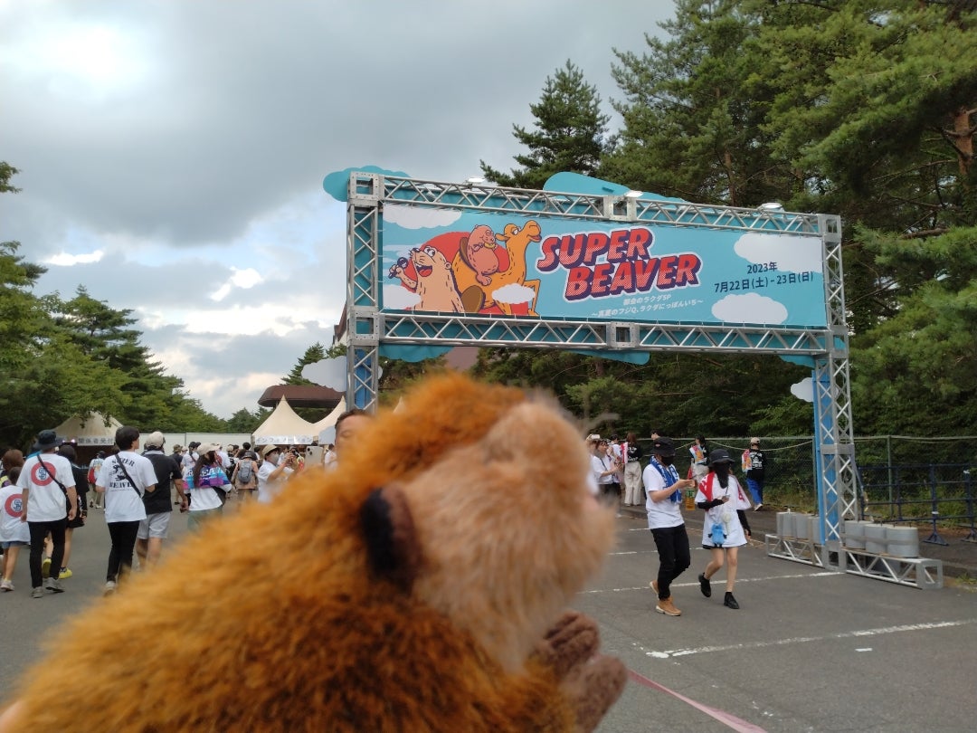 SUPER BEAVER@富士急ハイランド コニファーフォレストライブレポ