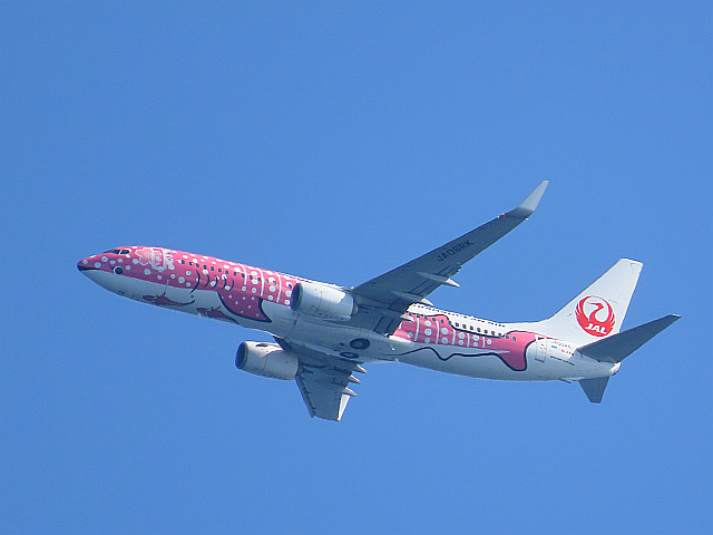 飛行機 JTA ジンベエジェット(さくらジンベエ) (2) | みえたもの