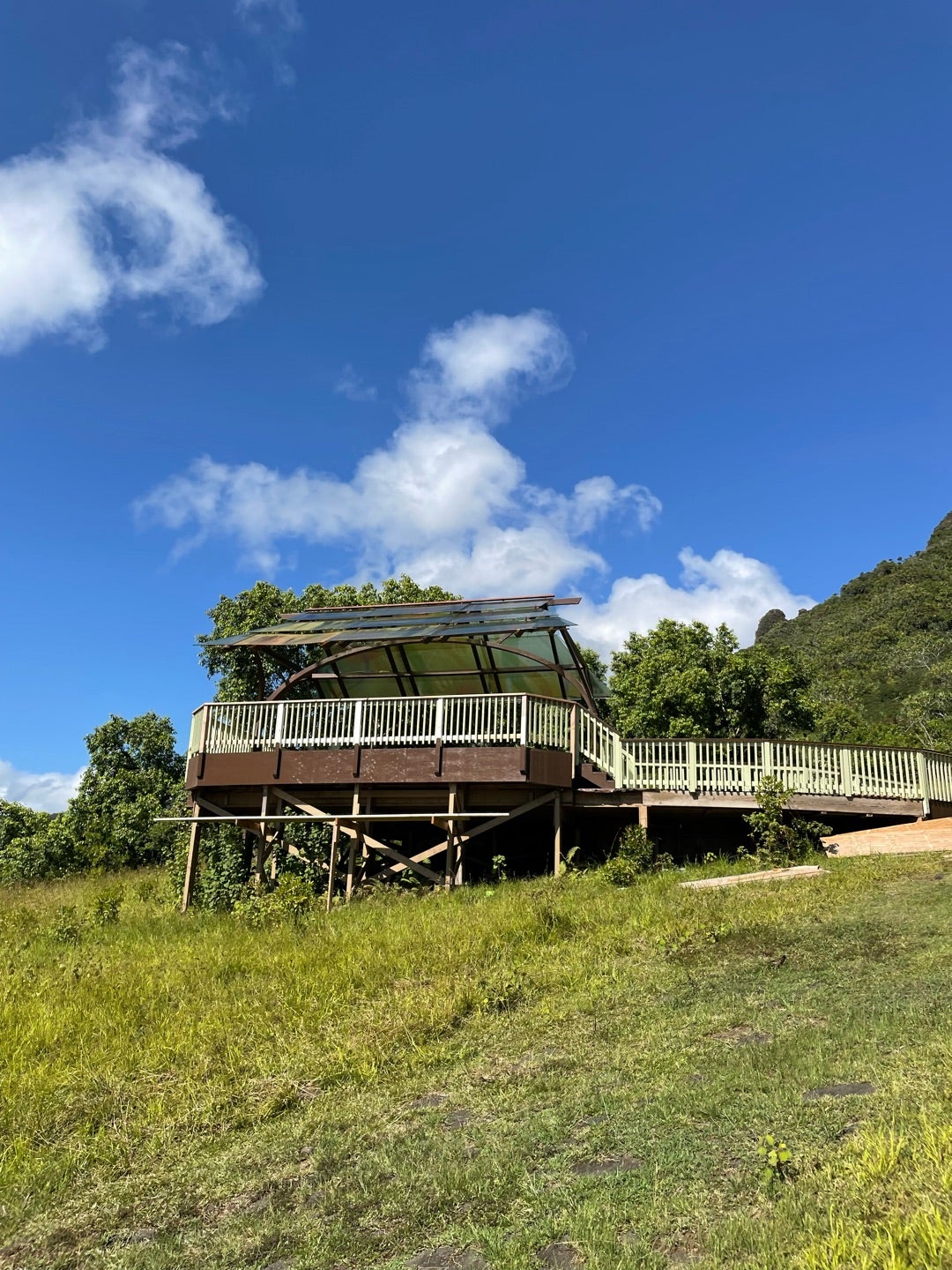 クアロアランチ②ジュラシックアドベンチャーツアー | 桜井奈々