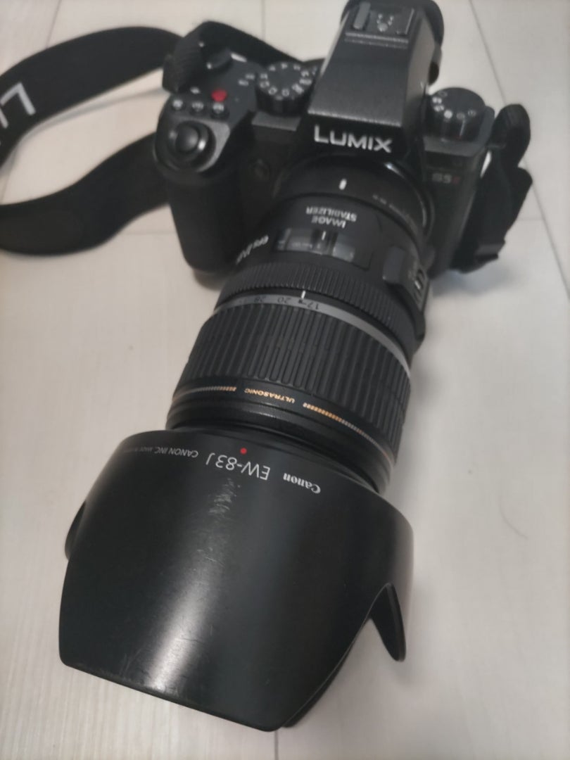 S5ⅡにEFマウントレンズを様々試して自分なりの結論が出た（動画