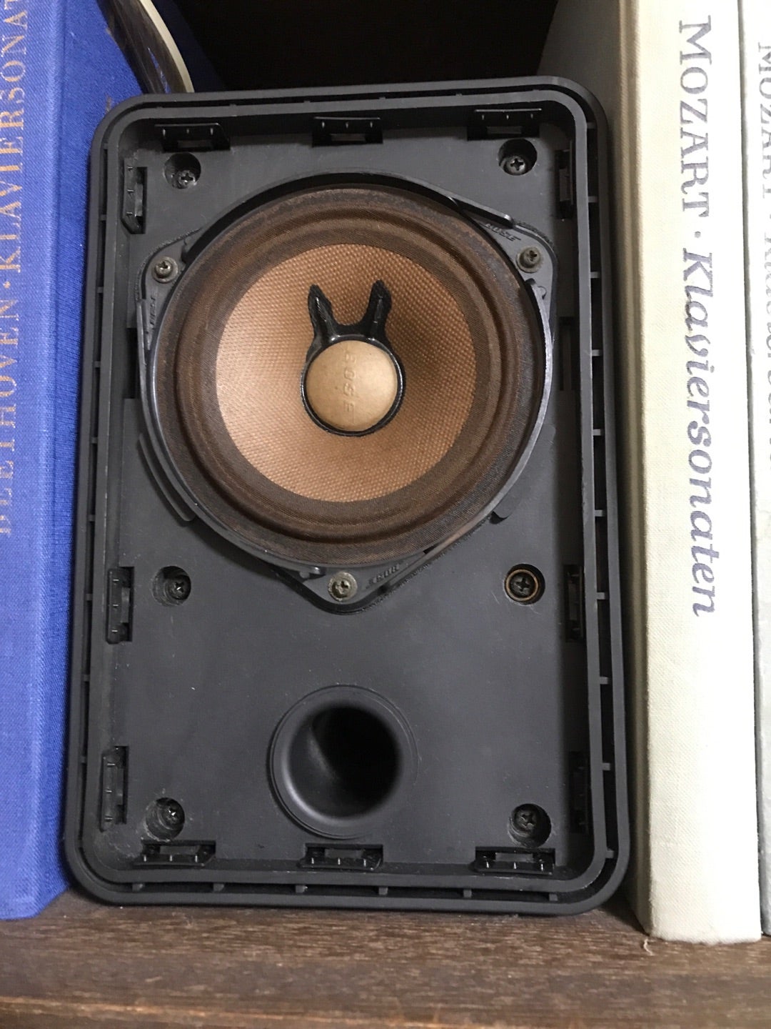 1日￥100下がる BOSE 101MM パッシブスピーカー 1日￥100下がる BOSE