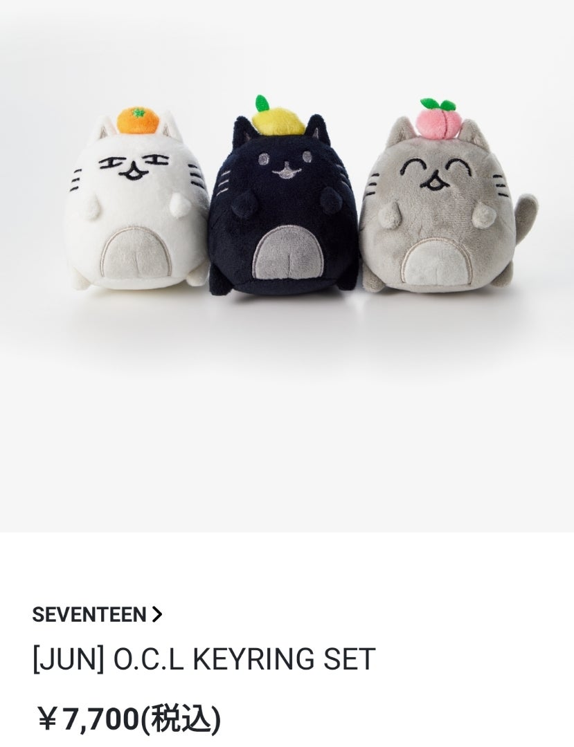 アーティスト メイド コレクション By SEVENTEEN⸜(ˊᗜˋ