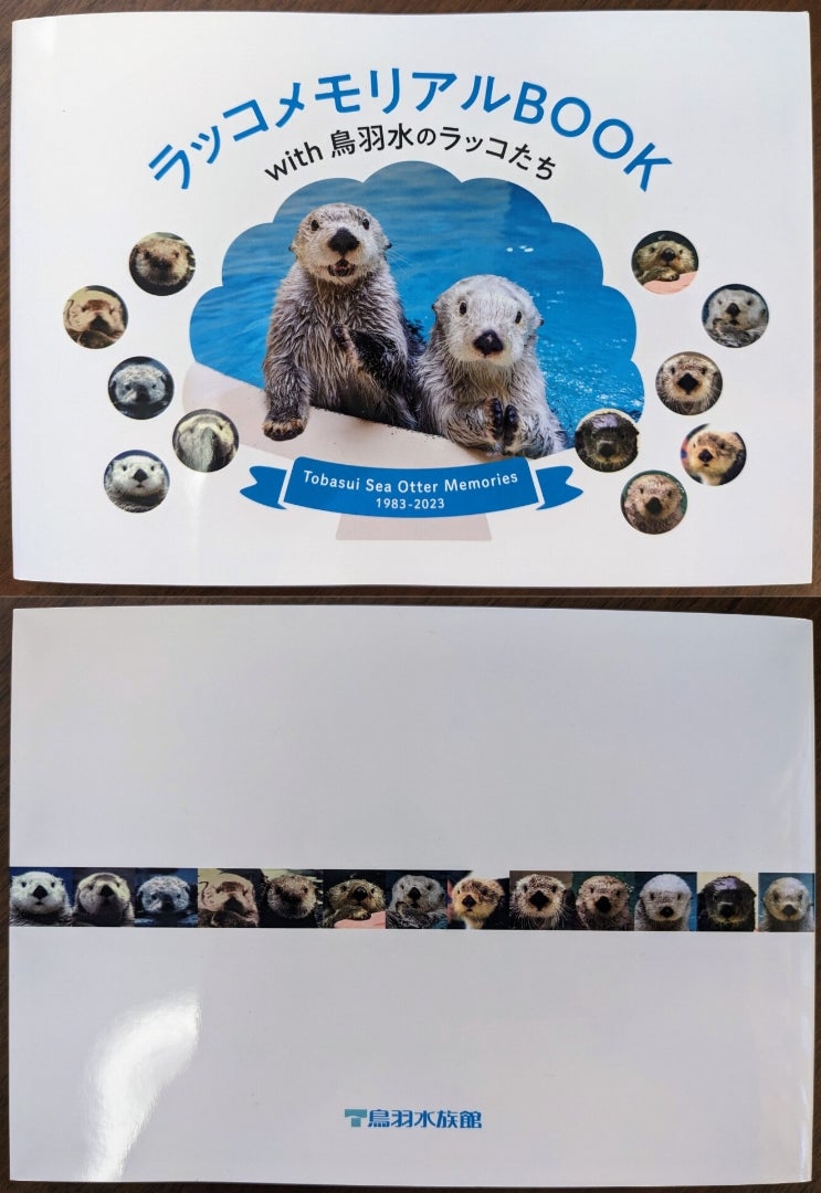 メイちゃん・キラちゃん、届いた〜！ | いんちきサファイア