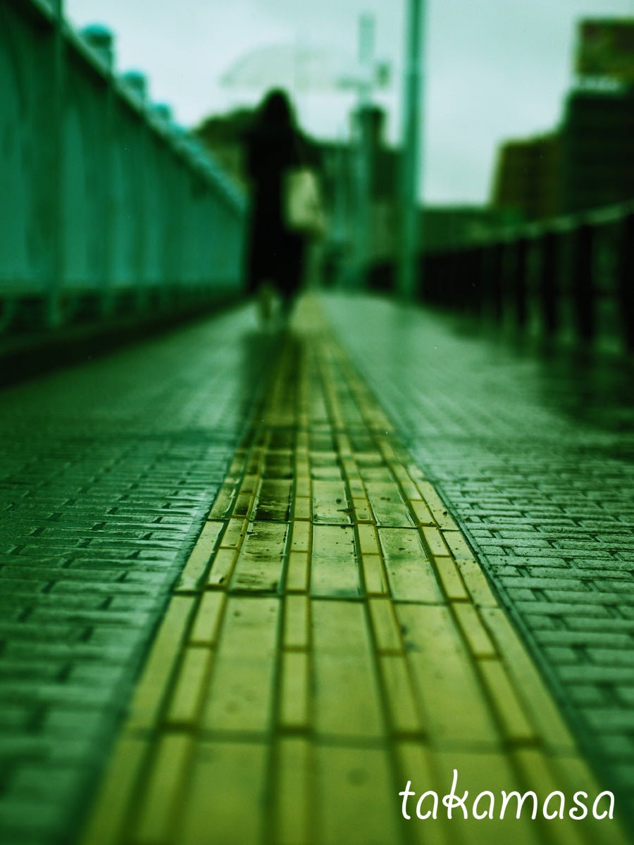 OLYMPUS M.ZUIKO DIGITAL 45mm F1.8 × E-M1】#雨の日 | 写真の化学反応