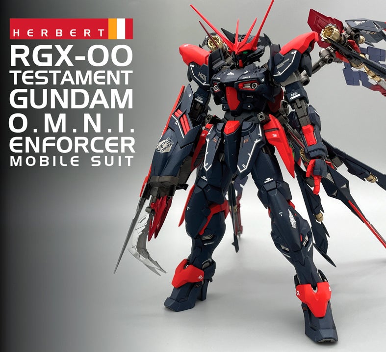MG 1/100 RGX-00 テスタメントガンダム (機動戦士ガンダムSEED DESTI