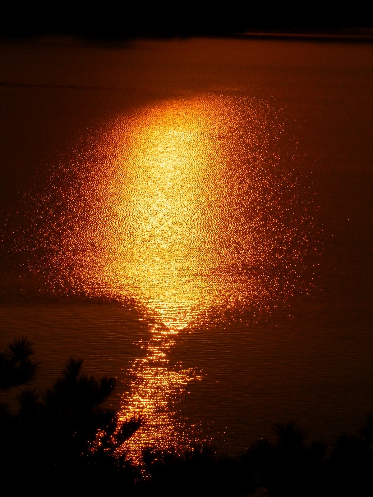 和歌浦「鏡山」の日の出！ | 紀泉伝次郎の常日頃