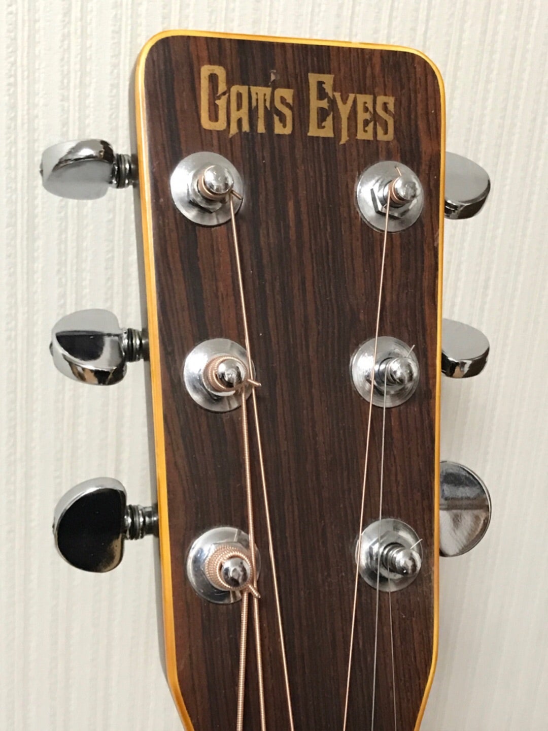 CAT'S EYES『CE-800』 | 五式戦のアコギ部屋