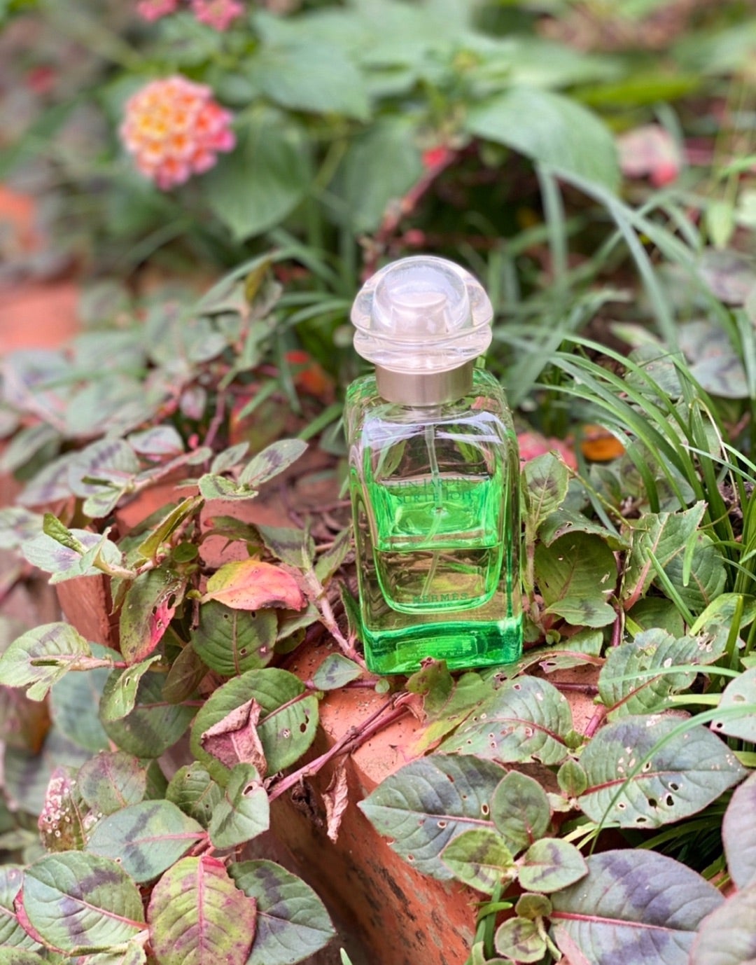 ファンタジーではない実在する空中庭園 香水レビュー 屋根の上の庭