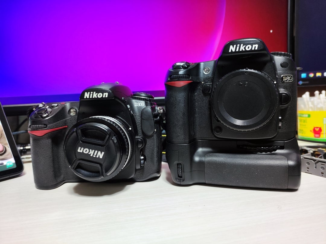 またもやジャンク】Nikon D80購入！CCD機のこってりした写りが特徴的