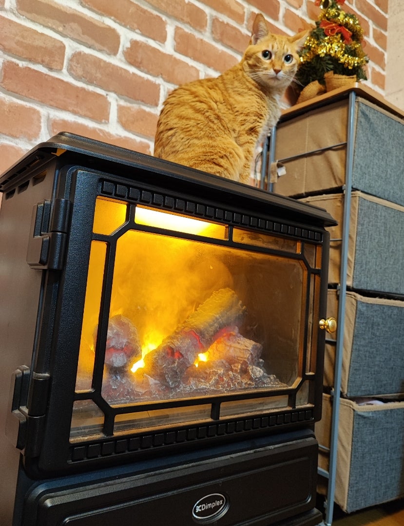 電気温風機 DFI-5010-01 【公式通販】