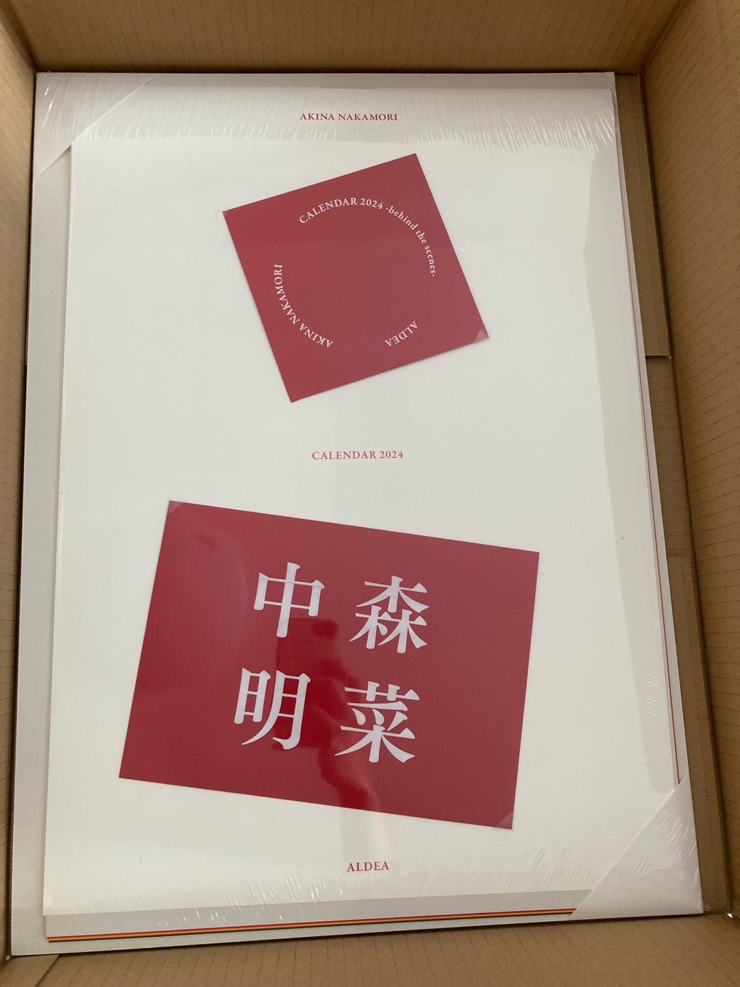 中森明菜 ファンクラブ「2024年カレンダー」(ネタバレあり