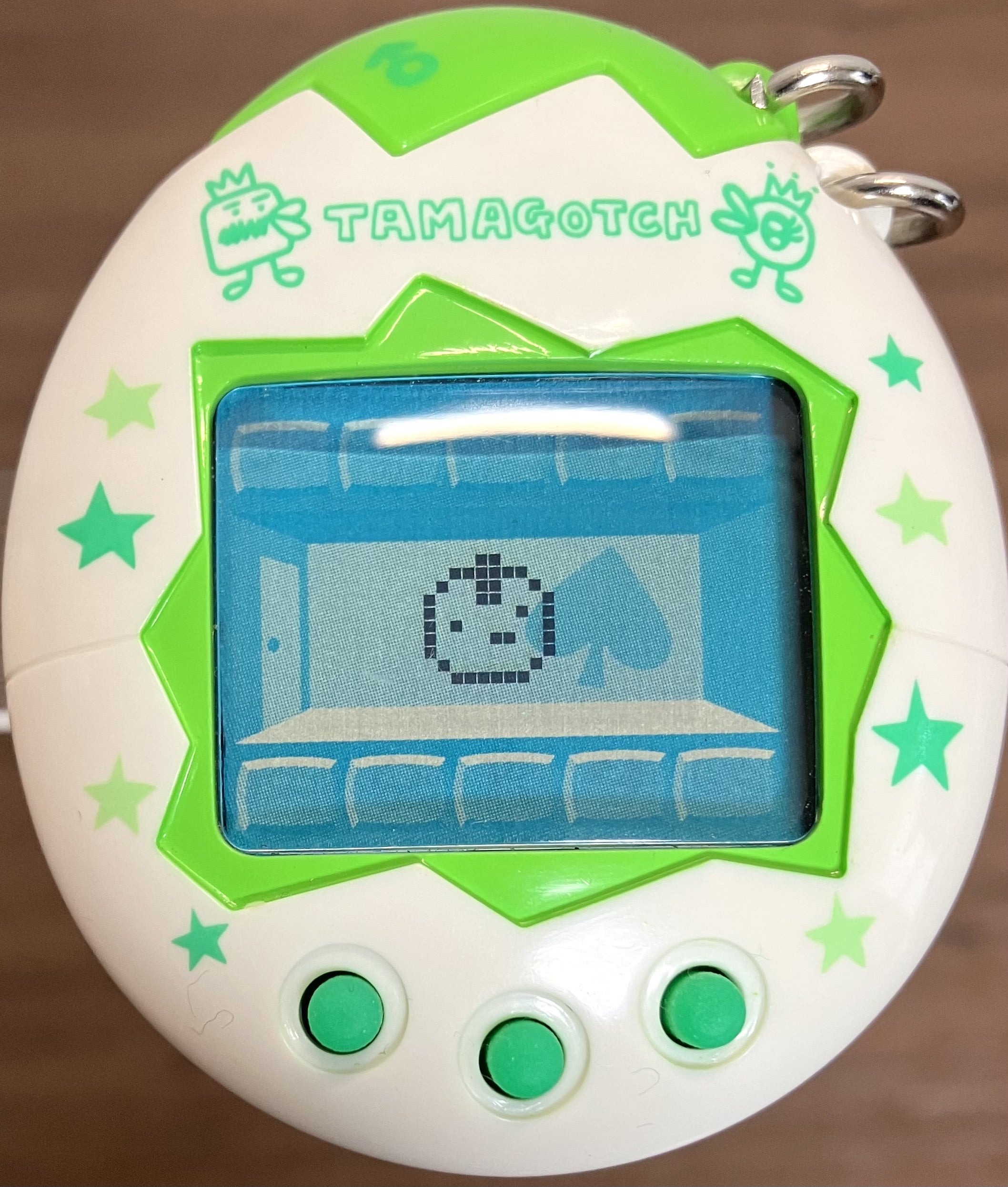 オスっちメスっち】育成開始 | たまラボ